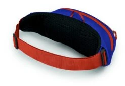Osprey Daylite Heuptas - Blauw/Oranje -Bo-Camp Verkoop 1900 1425 daylitewaist s23 sideback silverliningblueberry 10005144