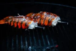 MEATER Block Met 4 Draadloze Thermometers -Bo-Camp Verkoop 20190625 mg 6541