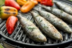 CADAC Grillo Chef 40 Gasbarbecue - BBQ 21 CADAC Grillo Chef 40 Gasbarbecue - BBQ -Bo-Camp Verkoop 900 1348 grillo chef 40 bbq grid 1