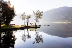 Amazonas Silk Traveller 1 Persoons Reishangmat - Techno 9 Amazonas Silk Traveller 1 Persoons Reishangmat - Techno -Bo-Camp Verkoop a181 16 op 01 resultaat