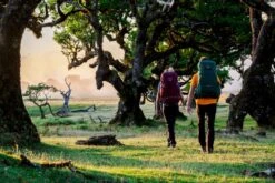 Osprey Rook Backpack - 65 Liter - Zwart -Bo-Camp Verkoop osprey rennrook 1